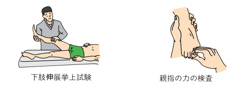 下肢伸展挙上検査・親指の力の検査ー腰椎椎間板ヘルニア